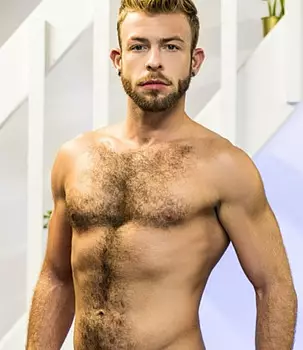 Gabriel Phoenix