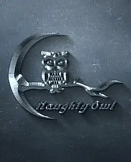 Naughty Owl Studios