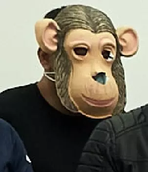 Tazmania