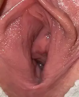 Clitlicker662