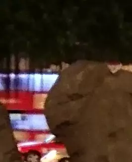 Dik k