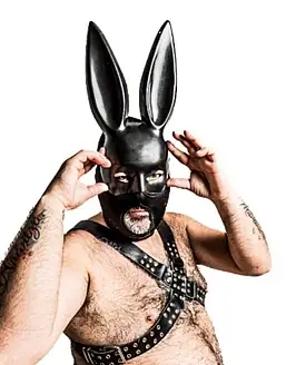 Real Bad Rabbit