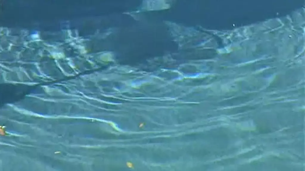 Sinderella's Anal Poolside Pleasure