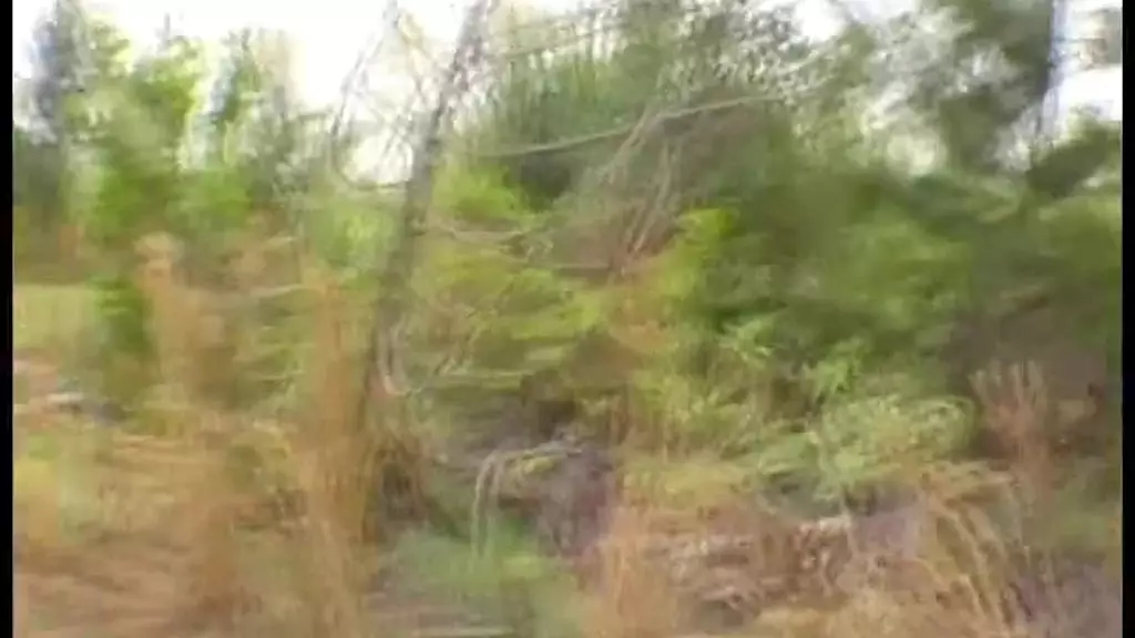 Mountain Bike Mishap Turns into Lesbian Frenzy