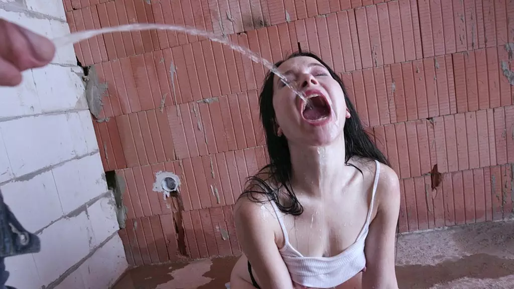 Sweetie Plum's Insane 5on1 Anal Orgy
