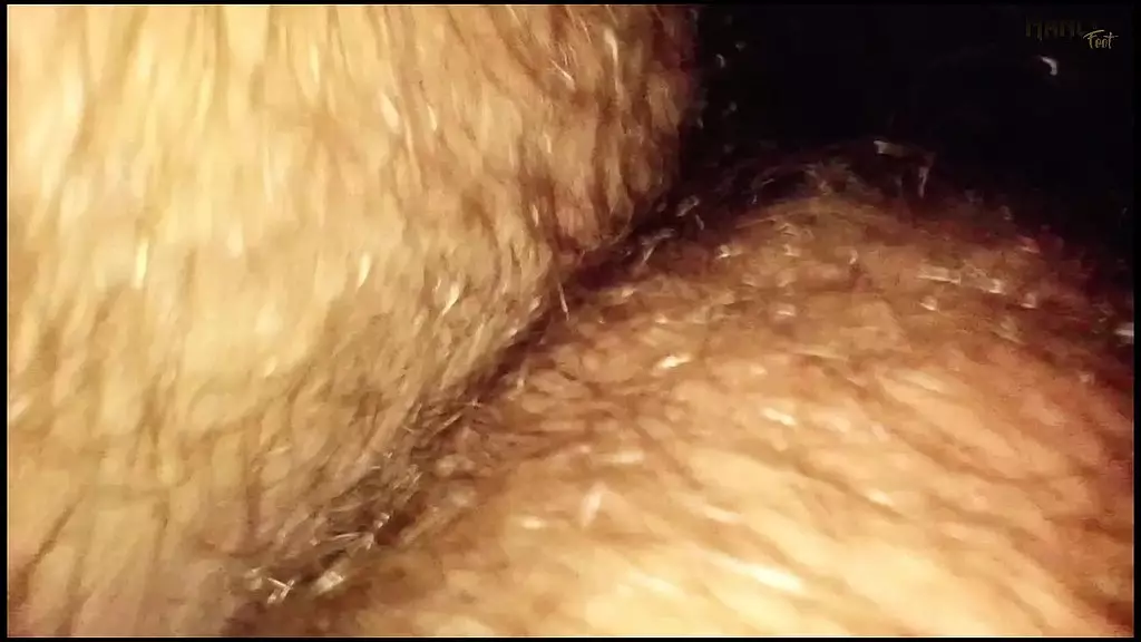 Tiny Passenger: Giant Foot Fetish Adventure