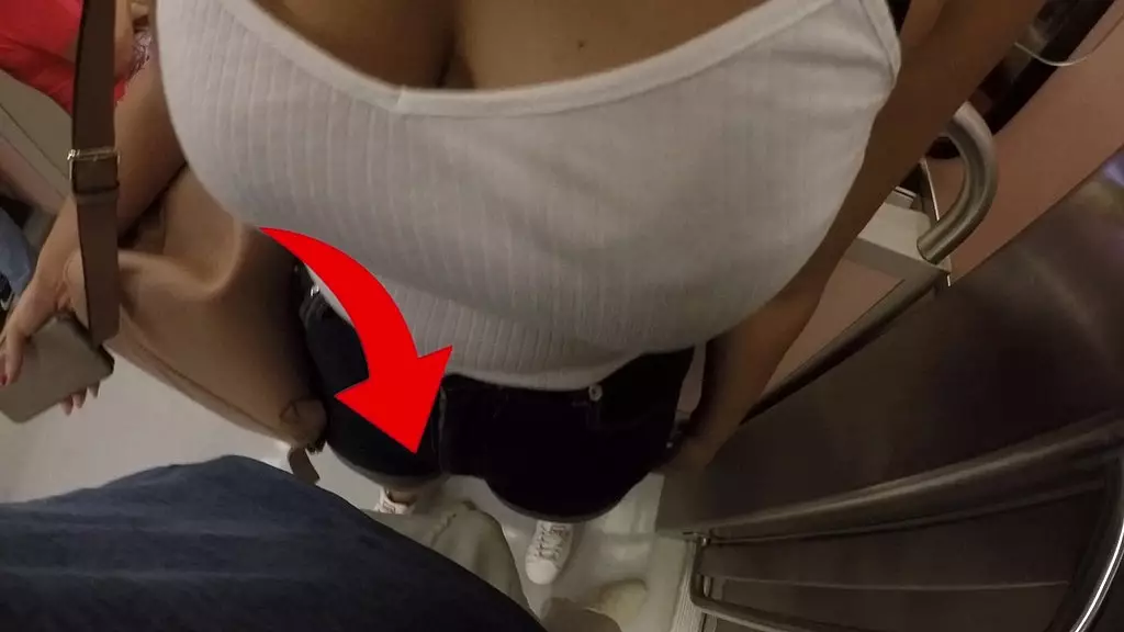 Naughty MILF Miss Zoko Fucks on Public Train