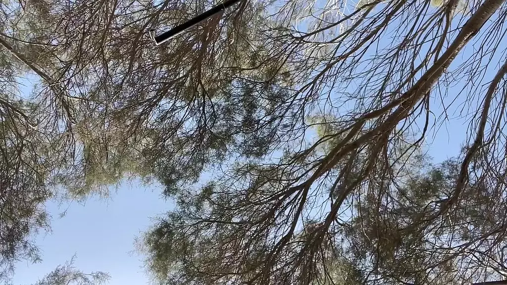 Hung German BBC Destroys Latino Twink's Ass on Beach