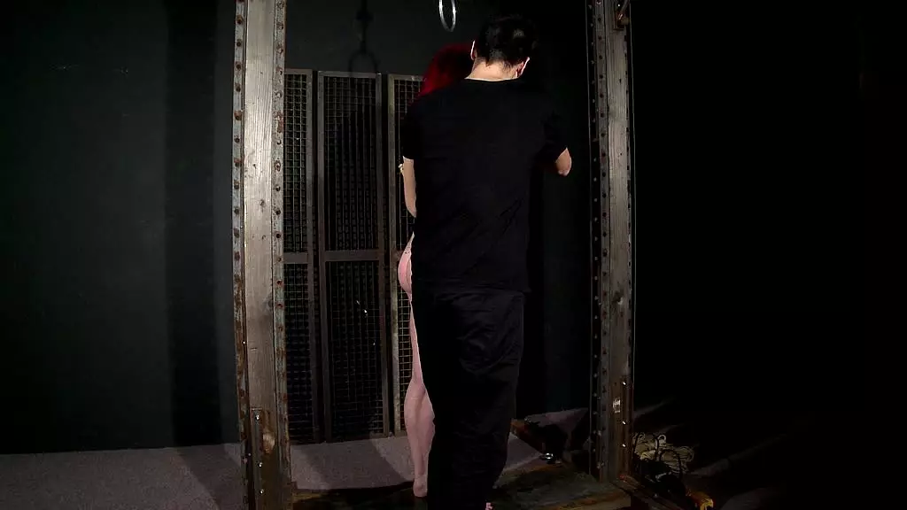 Suspended Anal Slut Paige Delight in Bondage Orgy