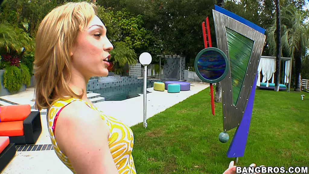 Lily Labeau Fucked by Wesley Pipes in Art Gallery