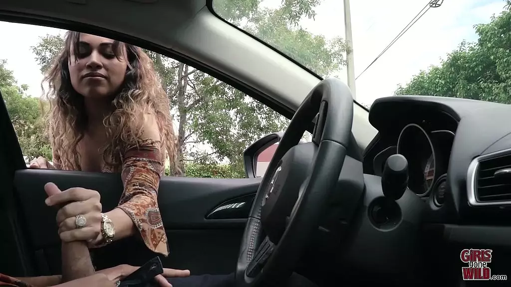 Sofia's Wild Anal Ride in the Backseat